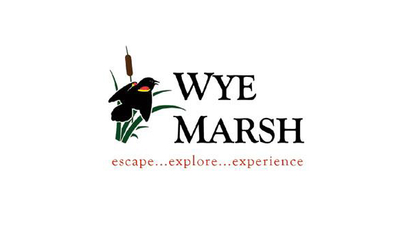 wye marsh wildlife centre