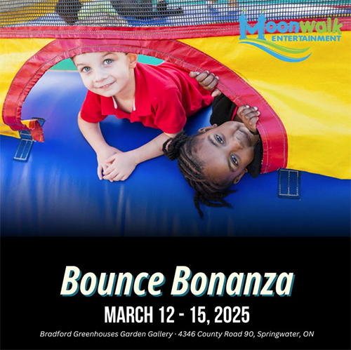 Bounce Bonanza