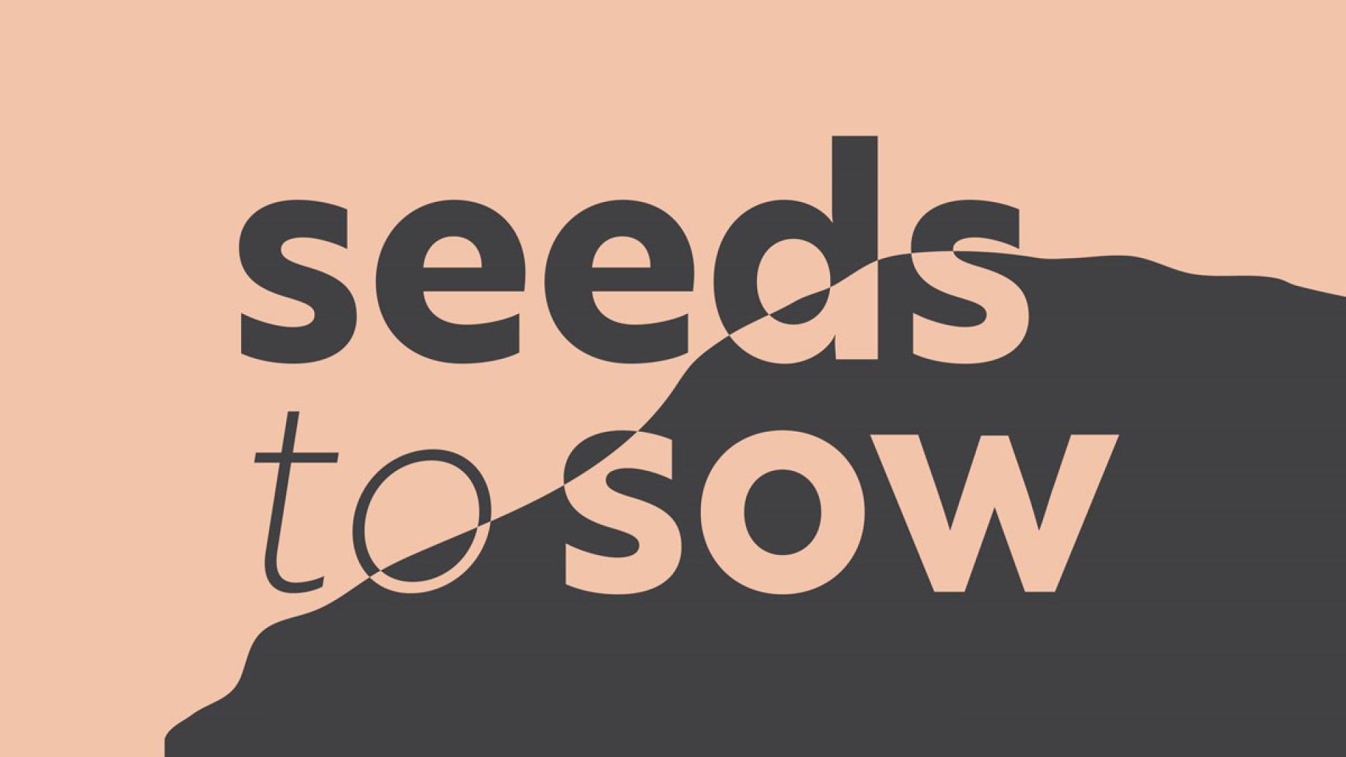 Seeds To Sow Exhibition