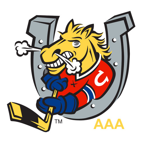 Barrie-colts-AAA