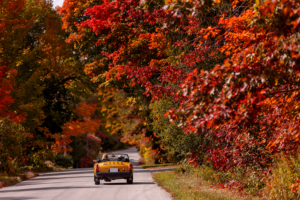 Fall In Barrie