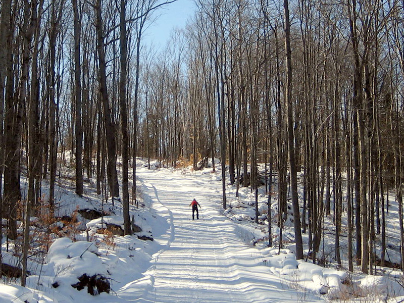 The Best Ski Resorts in Ontario