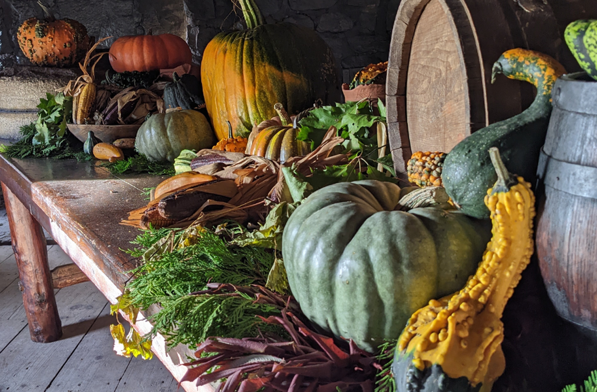 Sainte Marie Fall Harvest