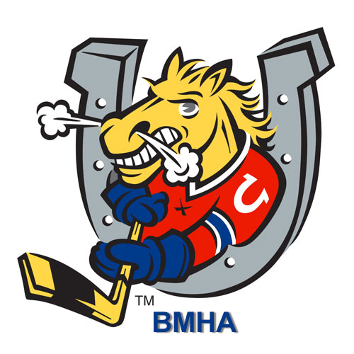 Barrie Minor Hockey House League Select Tournament